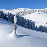 Cosy Escape