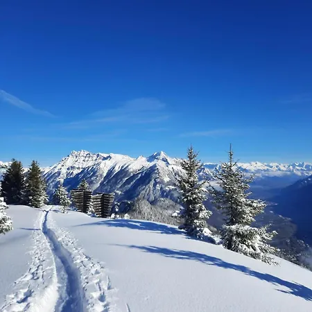 아파트 Cosy Escape