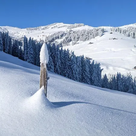 Cosy Escape